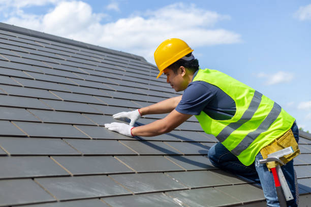 Best Best Roofing Contractors  in Dorr, MI