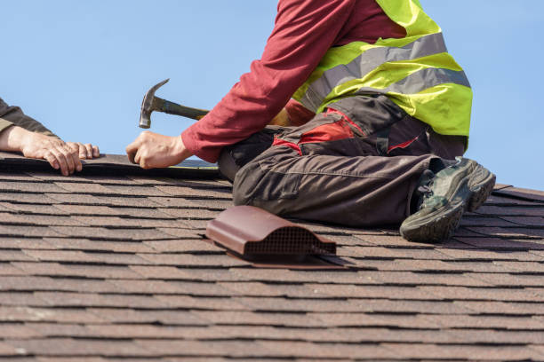 Best Local Roofing Companies  in Dorr, MI
