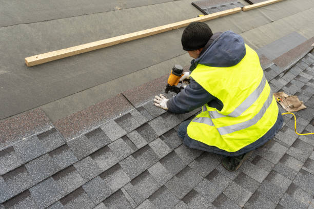 Best Roof Leak Repair  in Dorr, MI