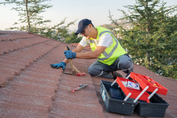 Best Metal Roofing Contractor  in Dorr, MI