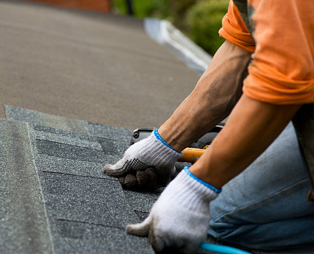 Best Roof Repair Specialists  in Dorr, MI