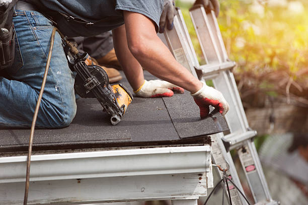 Best Roofing Contractor Near Me  in Dorr, MI