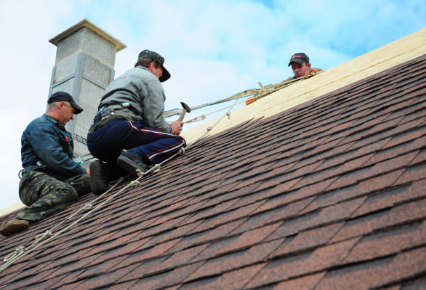 Roof Repair Estimates in Dorr, MI