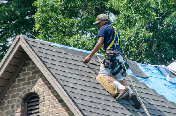 Quick and Trustworthy Emergency Roof Repair Services in Dorr, MI