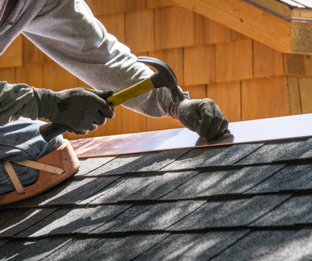 Best Slate Roofing Contractor  in Dorr, MI